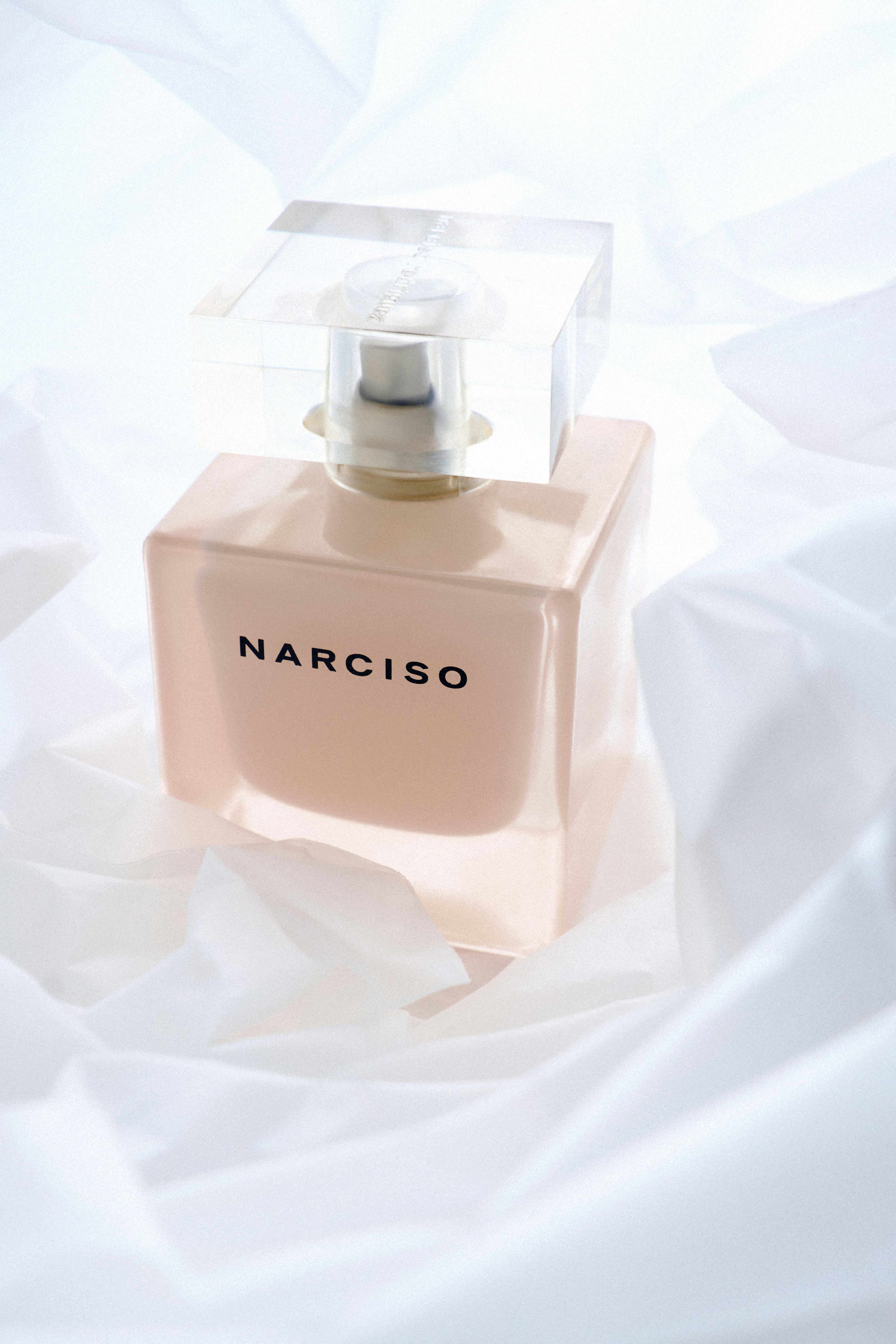 Narciso