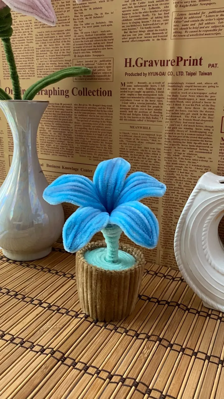 BLUEBELL IN POT