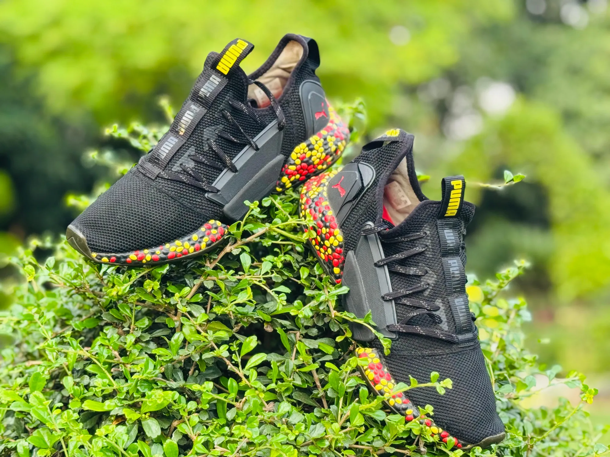Puma Hybrid Rocket Runner