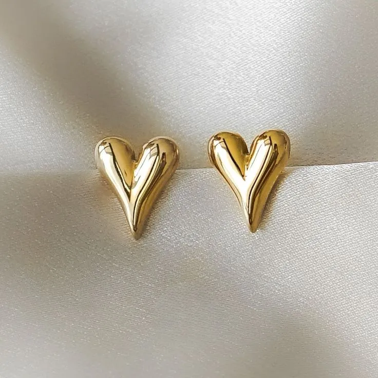 STAINLESS STEAL EARRINGS